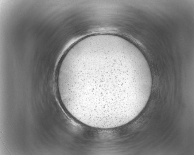 X0000053001470200508051121