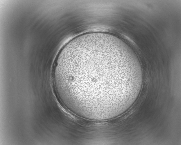 X0000053001471200508051121