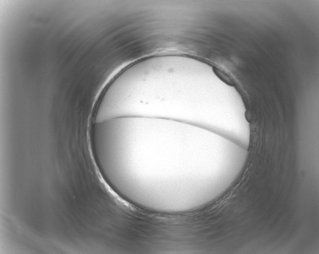 X0000053001476200508051121