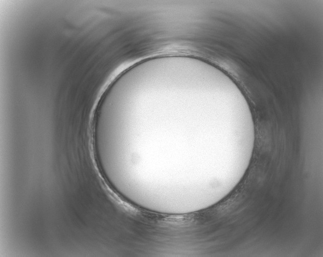 X0000053001478200508051121