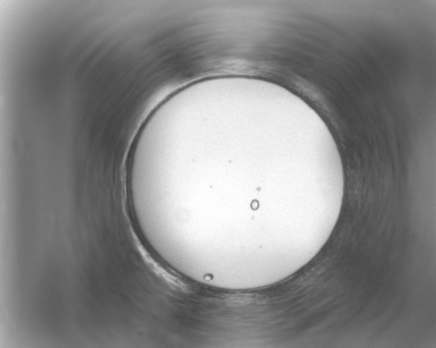 X0000053001479200508051121