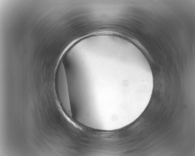 X0000053001484200508051121