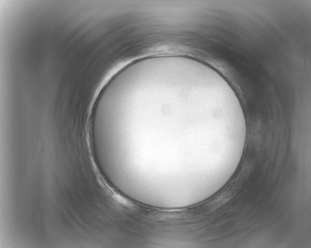 X0000053001486200508051121