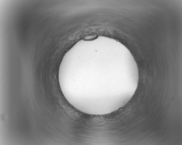 X0000053001489200508051120