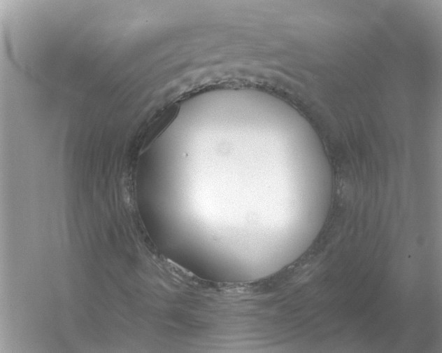 X0000053001490200508051120