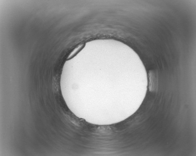 X0000053001491200508051120