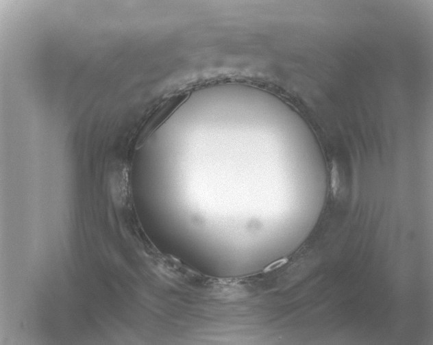 X0000053001492200508051120