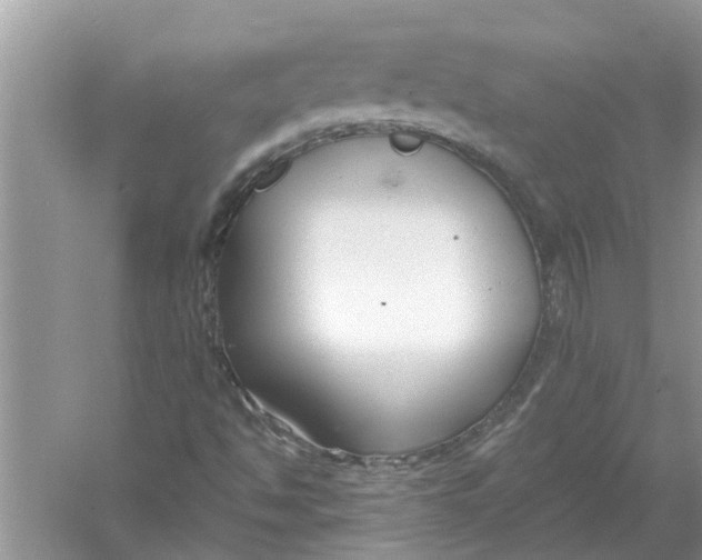 X0000053001494200508051120