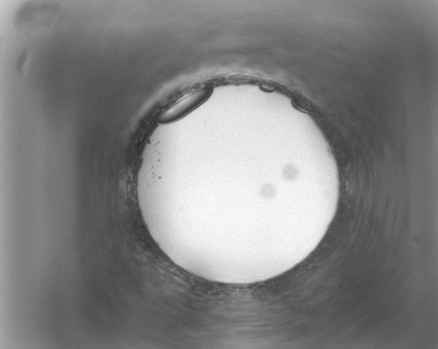 X0000053001495200508051120