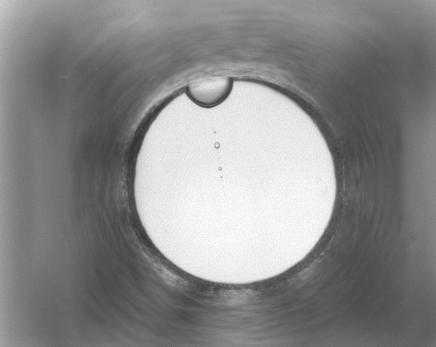 X0000053001498200508051120