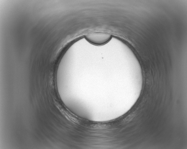 X0000053001499200508051120