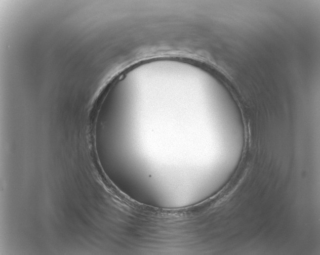 X0000053001501200508051120