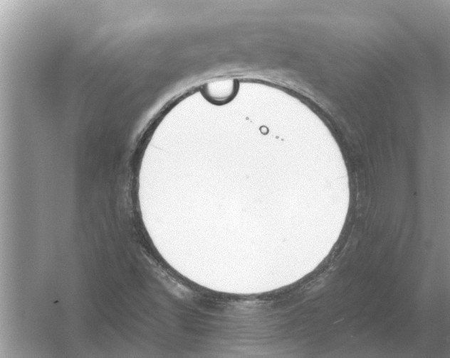 X0000053001502200508051120