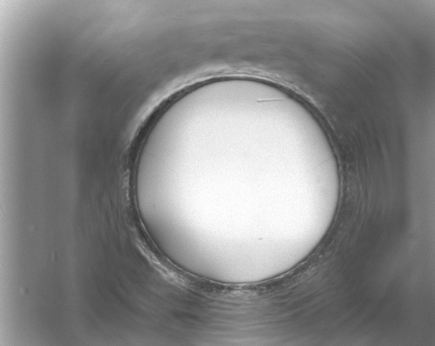 X0000053001503200508051120