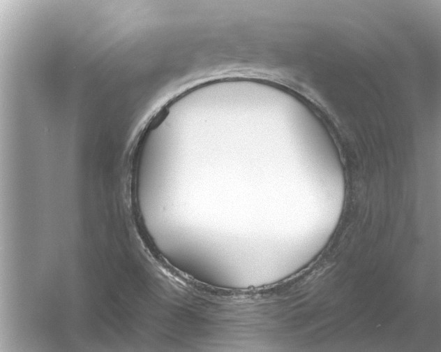 X0000053001504200508051120