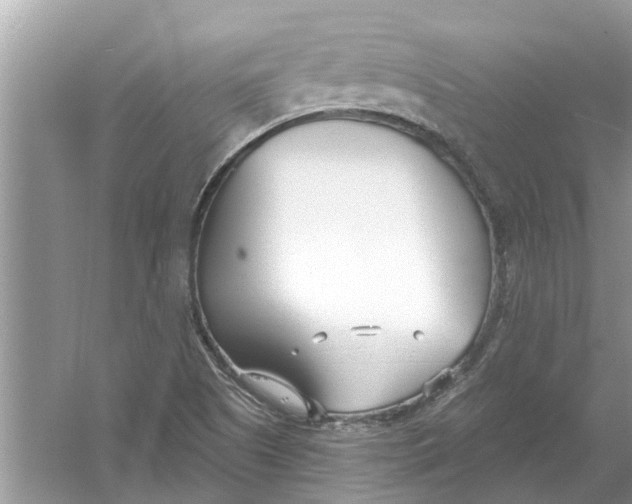 X0000053001505200508051120