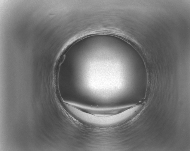 X0000053001506200508051120