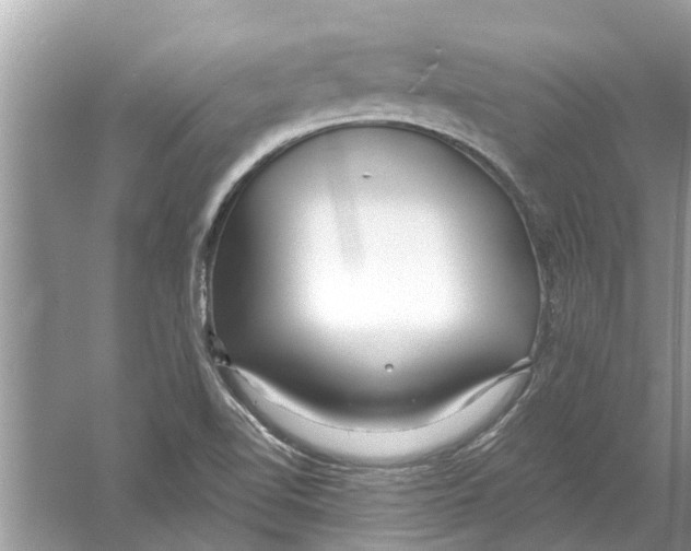 X0000053001510200508051120