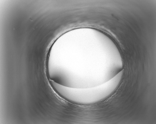 X0000053001512200508051120