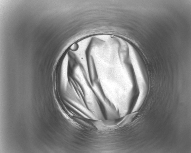 X0000053001515200508051120