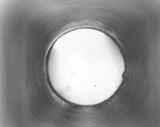 X0000053001516200508051120