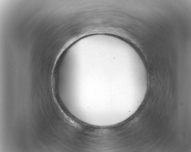 X0000053001517200508051120