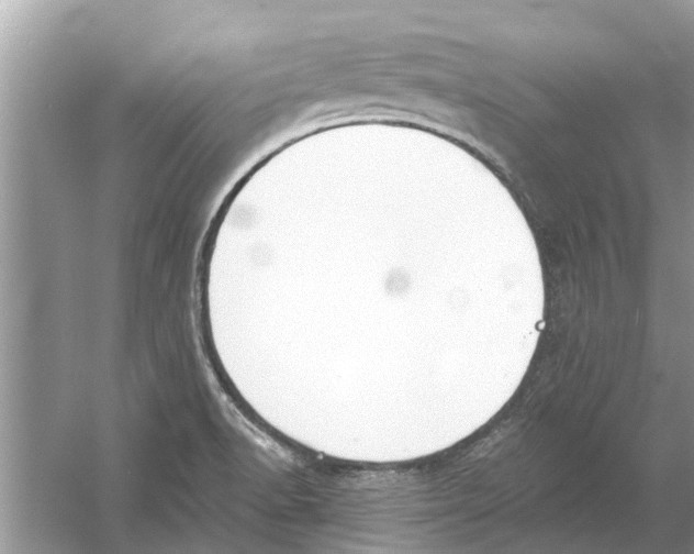 X0000053001518200508051121