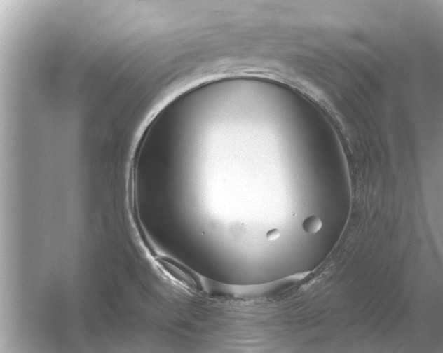 X0000053001520200508051121