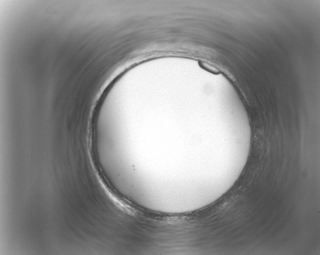 X0000053001523200508051121