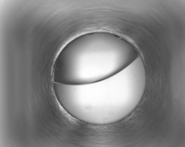 X0000053001524200508051121