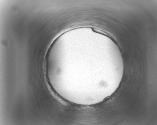 X0000053001526200508051121