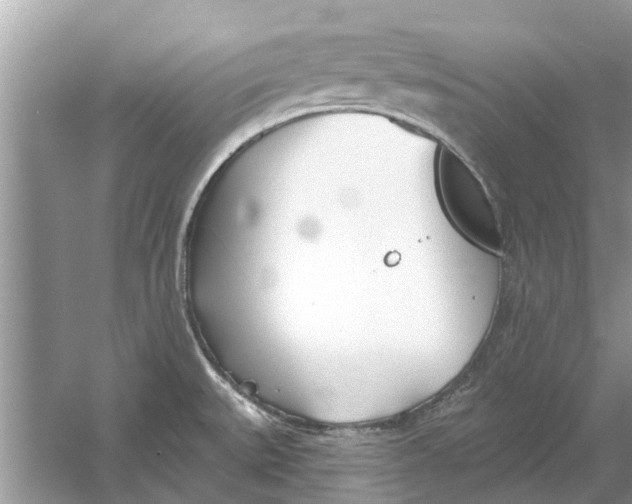 X0000053001527200508051121