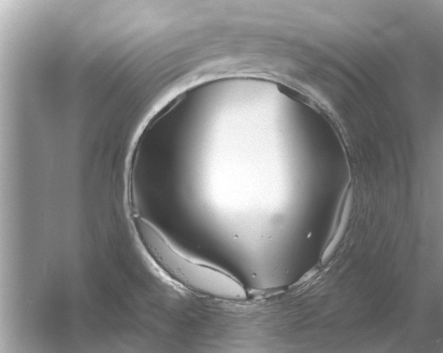 X0000053001528200508051121