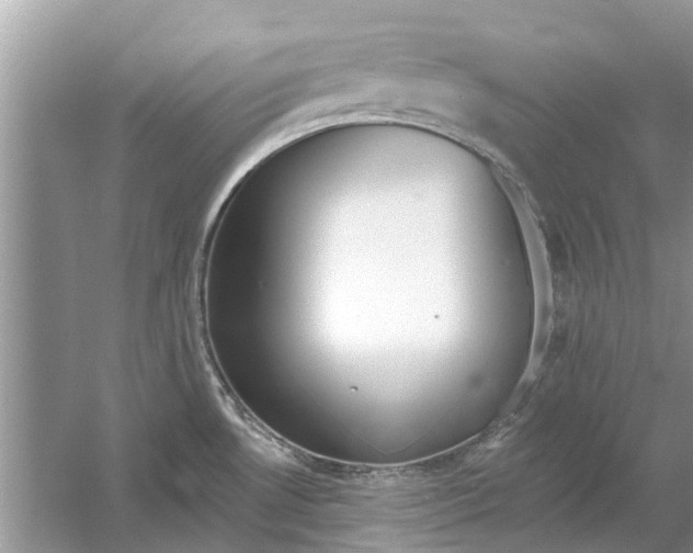 X0000053001530200508051121