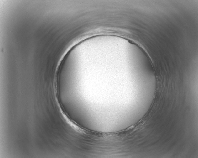 X0000053001531200508051121