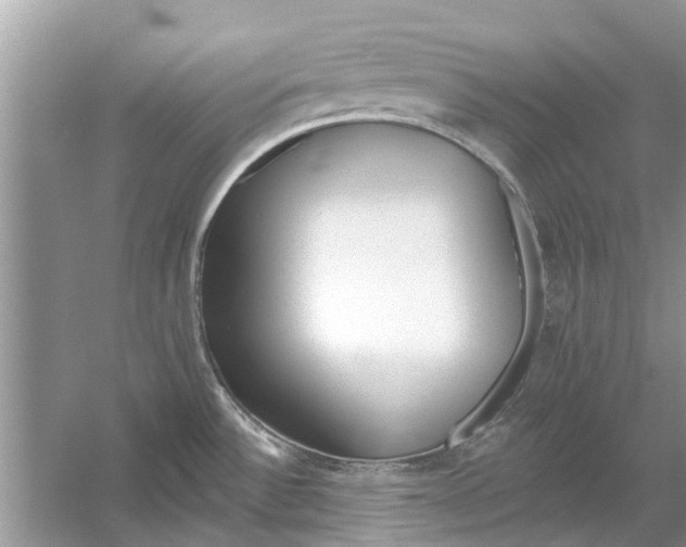 X0000053001532200508051121