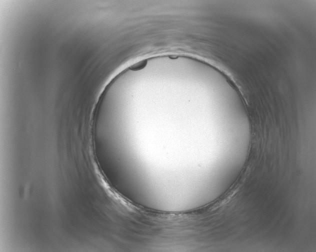 X0000053001534200508051121