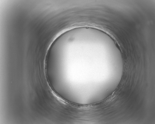 X0000053001535200508051121