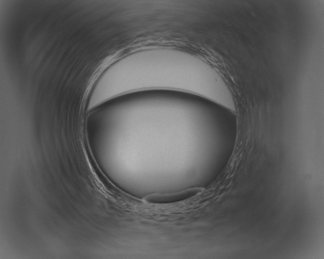 X0000053010003200507081033