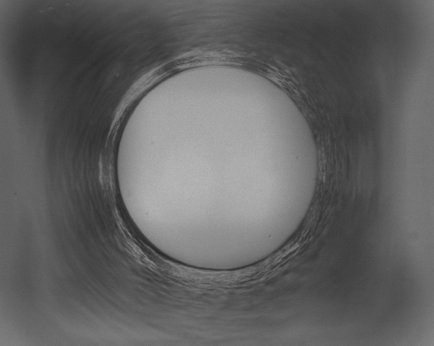 X0000053010004200507081033