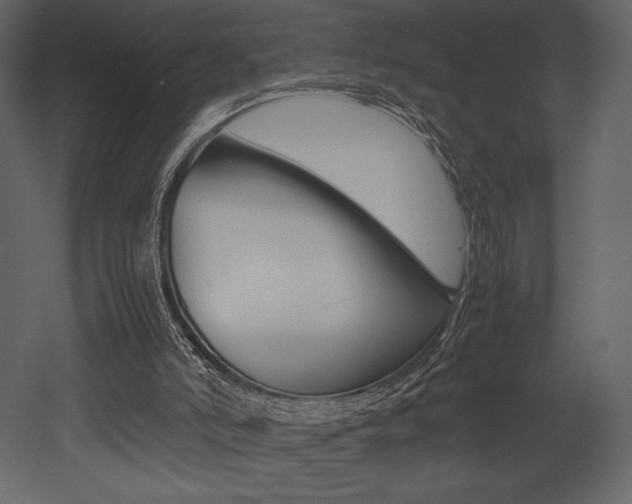 X0000053010006200507081033