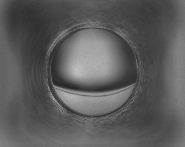 X0000053010007200507081033