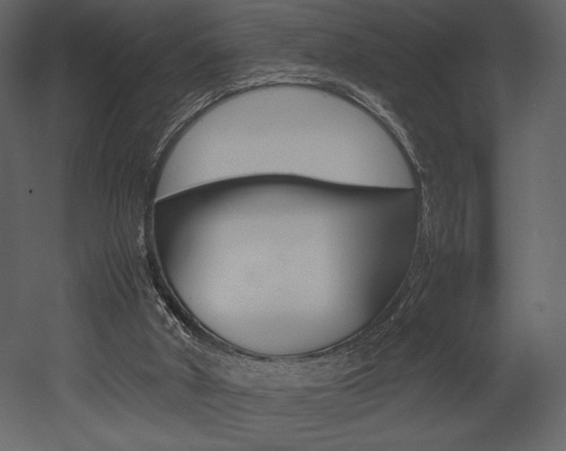 X0000053010010200507081033