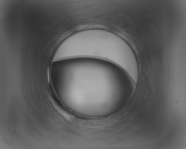 X0000053010013200507081033