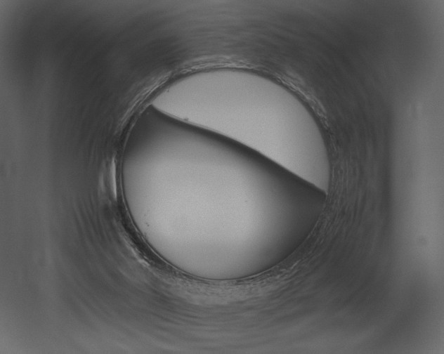 X0000053010014200507081033