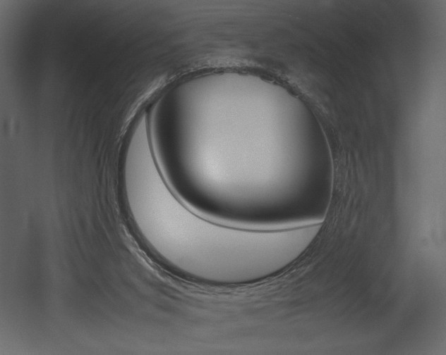 X0000053010015200507081033