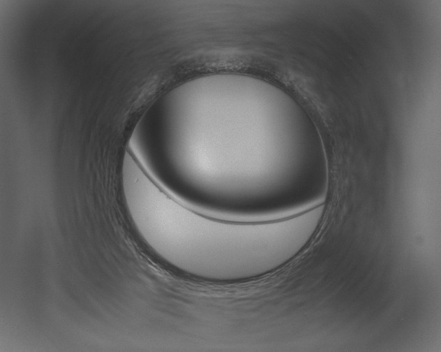 X0000053010017200507081033