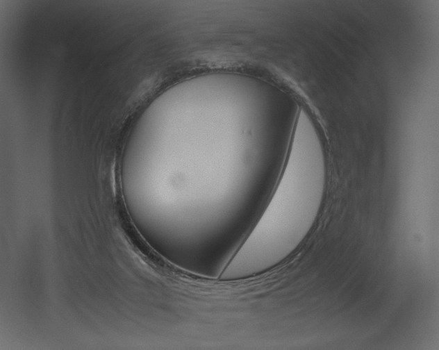 X0000053010019200507081033