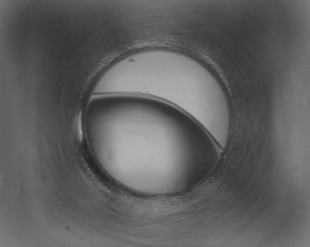 X0000053010020200507081033