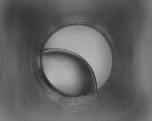 X0000053010021200507081033